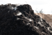 Peat-Free-Compost-5-by-Tony-Goodger