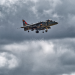 Spanish-Harrier-EAV8B-4-by-Steve-Warr